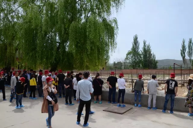 亿万先生mr·(中国区)官方网站