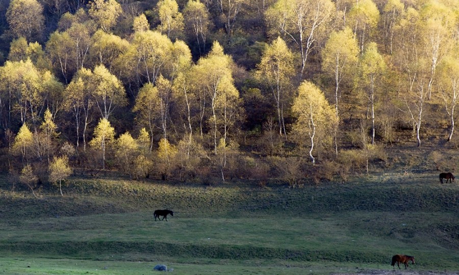 亿万先生mr·(中国区)官方网站
