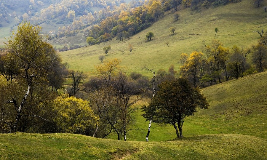 亿万先生mr·(中国区)官方网站