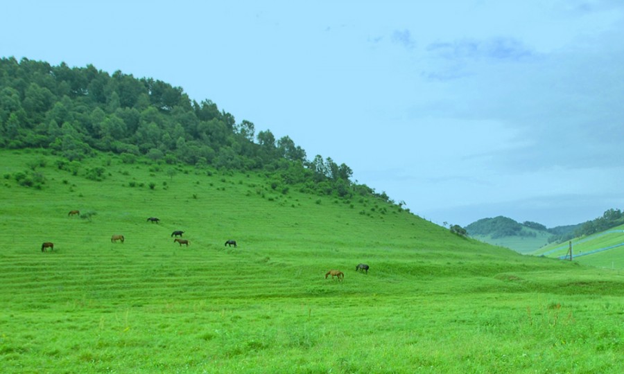亿万先生mr·(中国区)官方网站