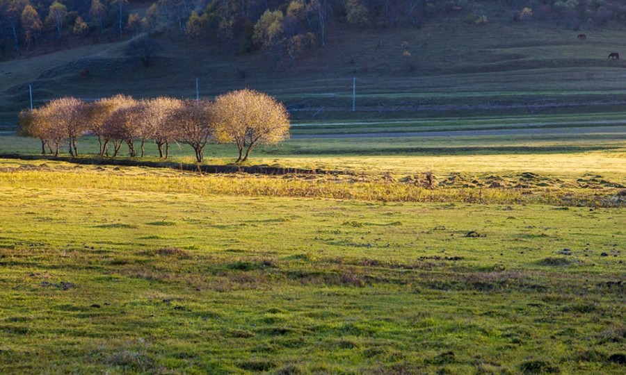 亿万先生mr·(中国区)官方网站