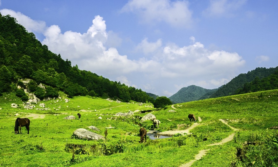 亿万先生mr·(中国区)官方网站