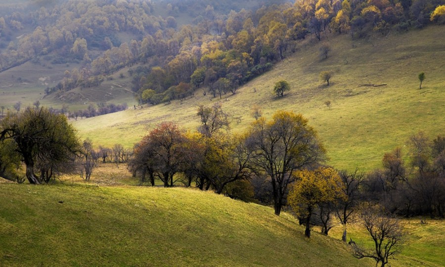 亿万先生mr·(中国区)官方网站
