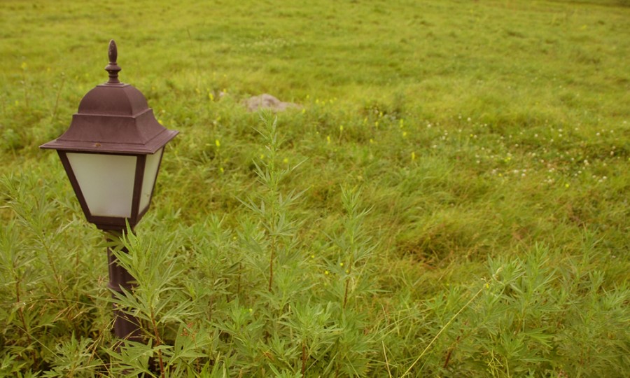 亿万先生mr·(中国区)官方网站