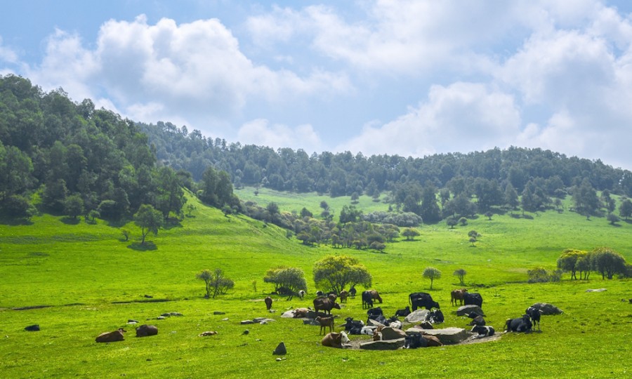 亿万先生mr·(中国区)官方网站