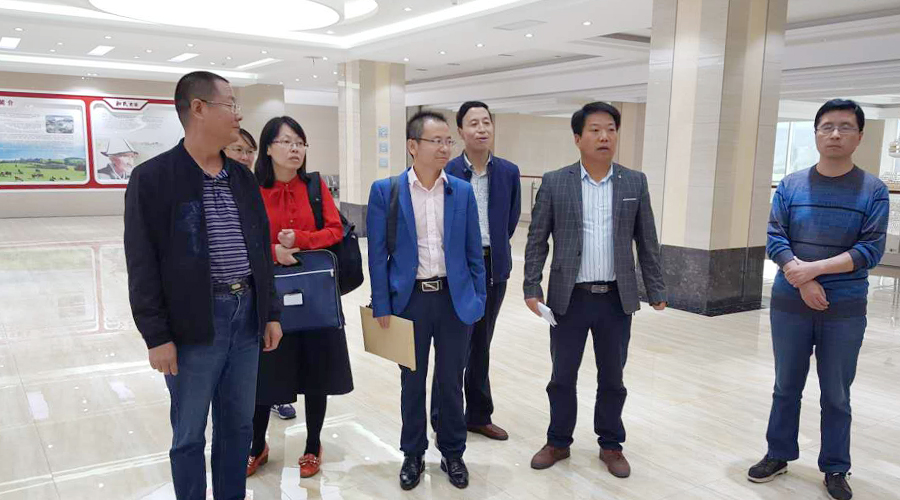 亿万先生mr·(中国区)官方网站