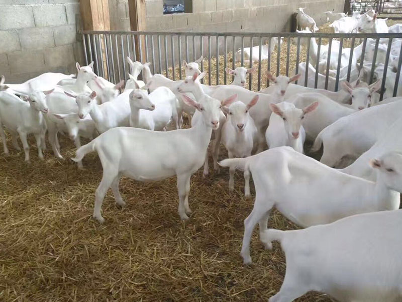 亿万先生mr·(中国区)官方网站