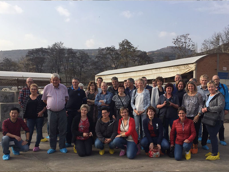 亿万先生mr·(中国区)官方网站