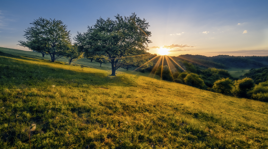 亿万先生mr·(中国区)官方网站