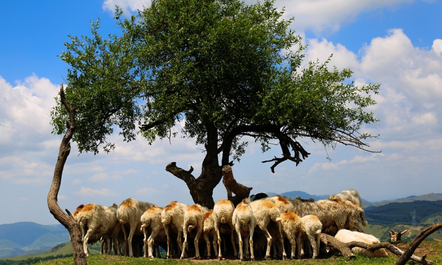 亿万先生mr·(中国区)官方网站