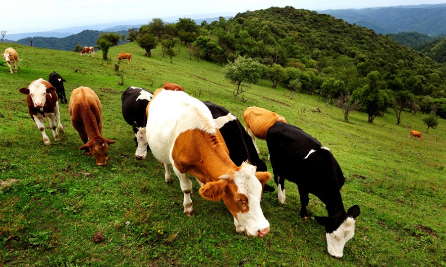 亿万先生mr·(中国区)官方网站