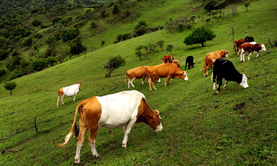 亿万先生mr·(中国区)官方网站