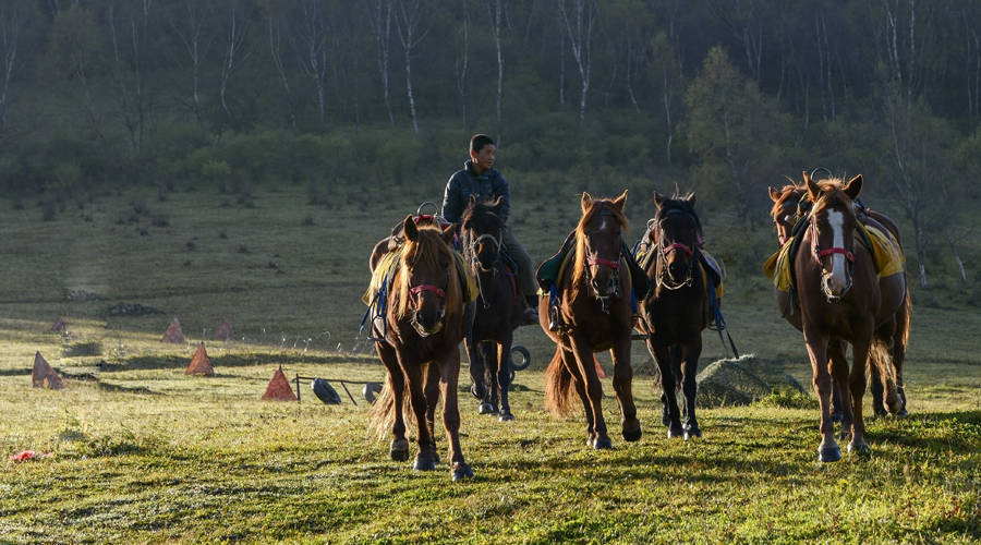 亿万先生mr·(中国区)官方网站