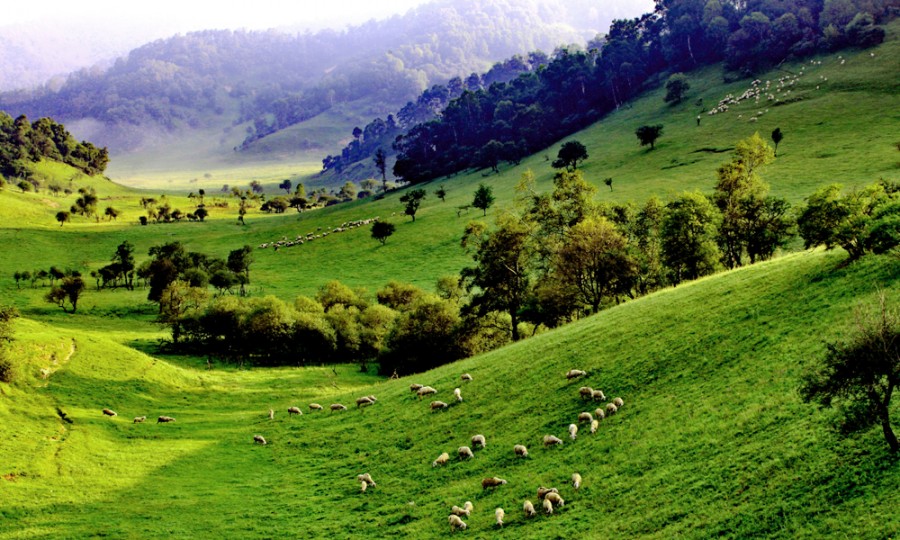 亿万先生mr·(中国区)官方网站