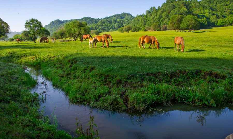 亿万先生mr·(中国区)官方网站
