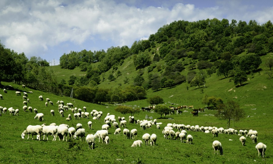 亿万先生mr·(中国区)官方网站