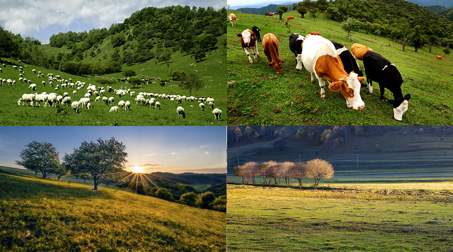 亿万先生mr·(中国区)官方网站