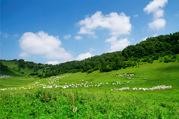 亿万先生mr·(中国区)官方网站