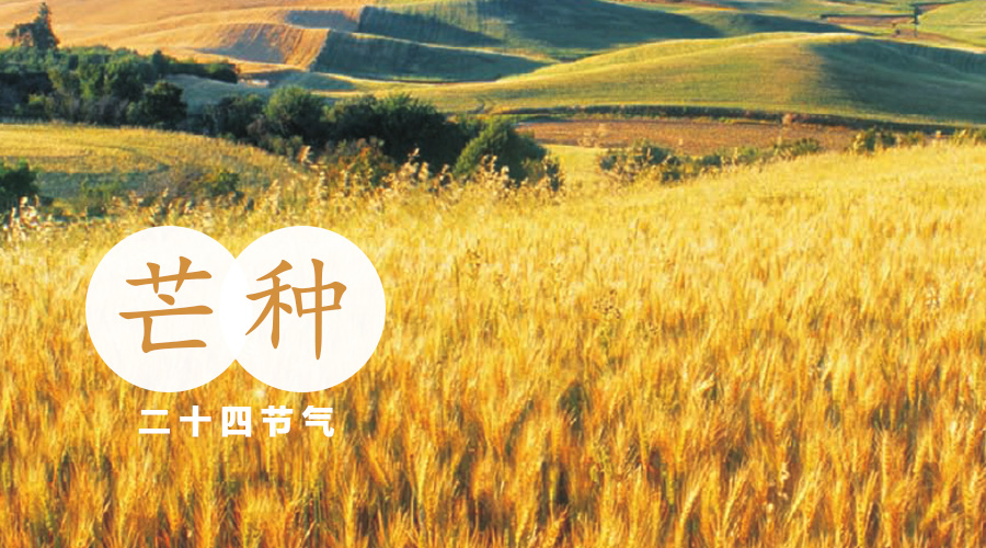 亿万先生mr·(中国区)官方网站