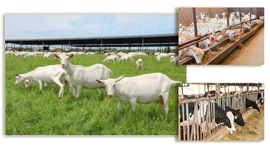 亿万先生mr·(中国区)官方网站