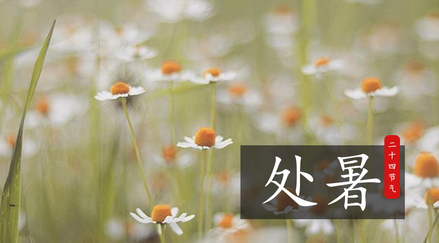 亿万先生mr·(中国区)官方网站