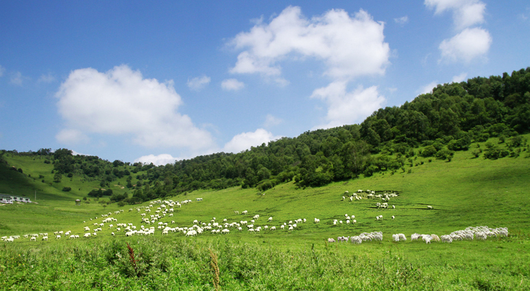亿万先生mr·(中国区)官方网站