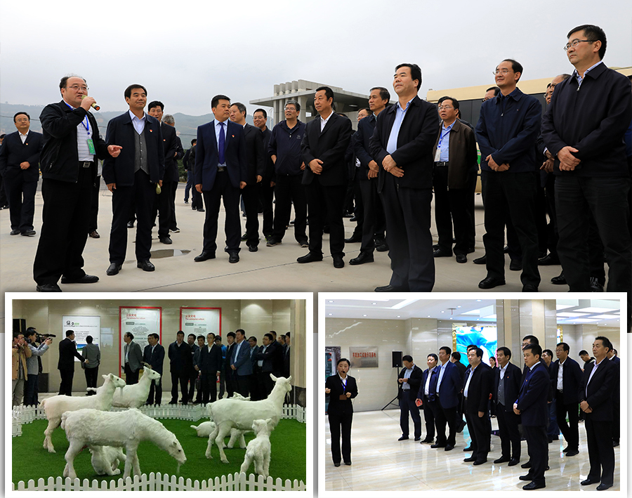 亿万先生mr·(中国区)官方网站