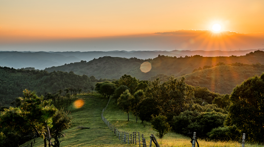亿万先生mr·(中国区)官方网站