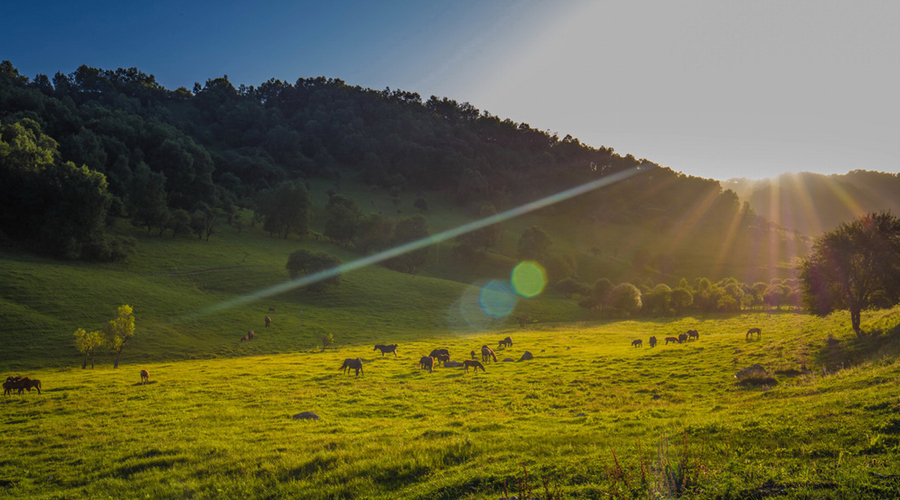 亿万先生mr·(中国区)官方网站