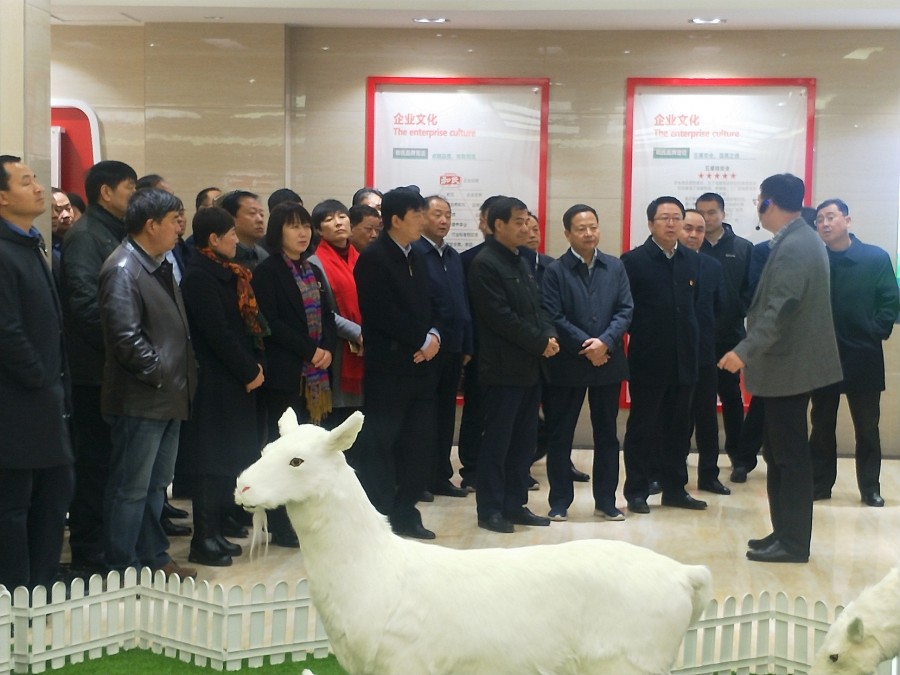 亿万先生mr·(中国区)官方网站