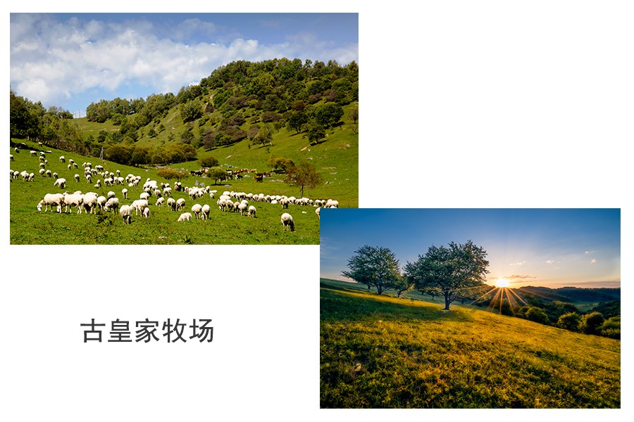 亿万先生mr·(中国区)官方网站