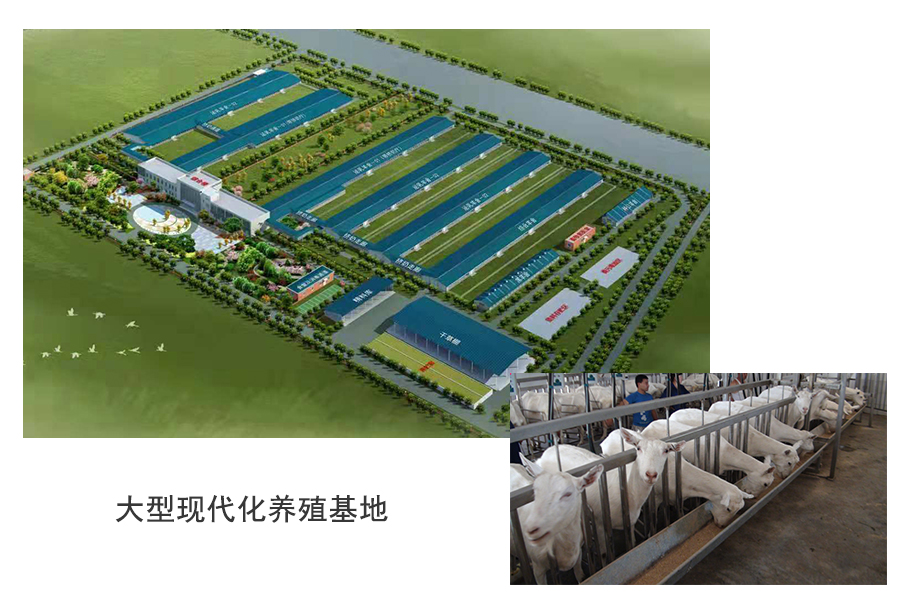 亿万先生mr·(中国区)官方网站