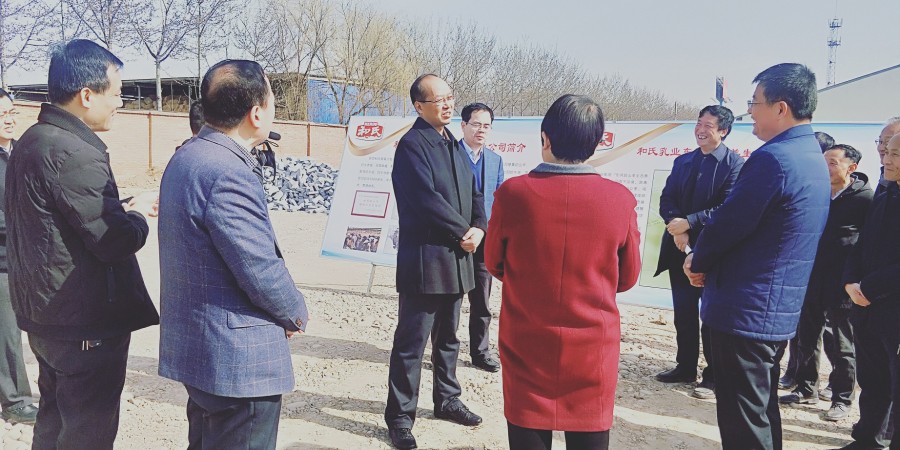 亿万先生mr·(中国区)官方网站