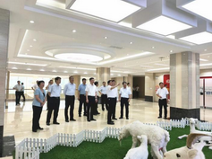 亿万先生mr·(中国区)官方网站