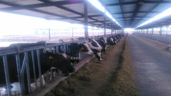 亿万先生mr·(中国区)官方网站