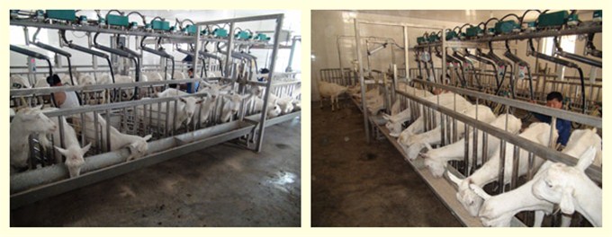 亿万先生mr·(中国区)官方网站