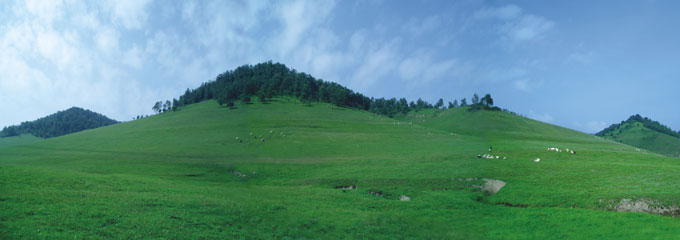 亿万先生mr·(中国区)官方网站