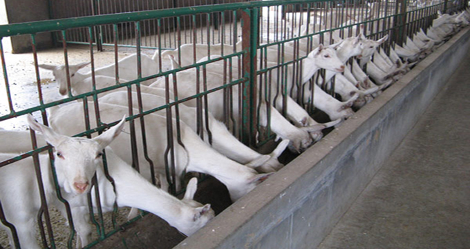 亿万先生mr·(中国区)官方网站