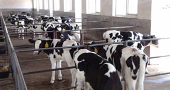 亿万先生mr·(中国区)官方网站