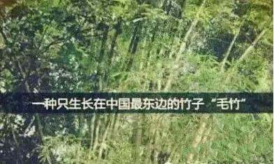 亿万先生mr·(中国区)官方网站