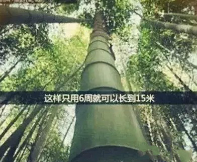 亿万先生mr·(中国区)官方网站