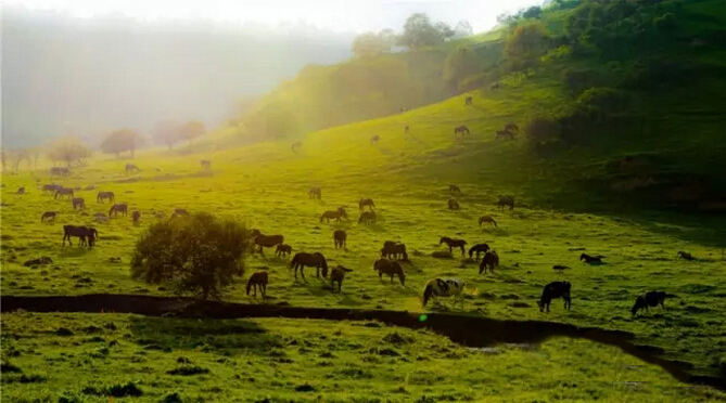 亿万先生mr·(中国区)官方网站