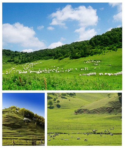 亿万先生mr·(中国区)官方网站