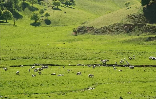 亿万先生mr·(中国区)官方网站