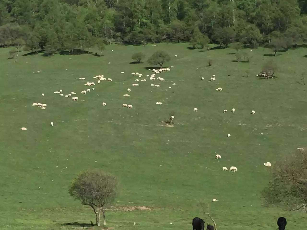 亿万先生mr·(中国区)官方网站