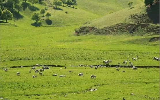 亿万先生mr·(中国区)官方网站