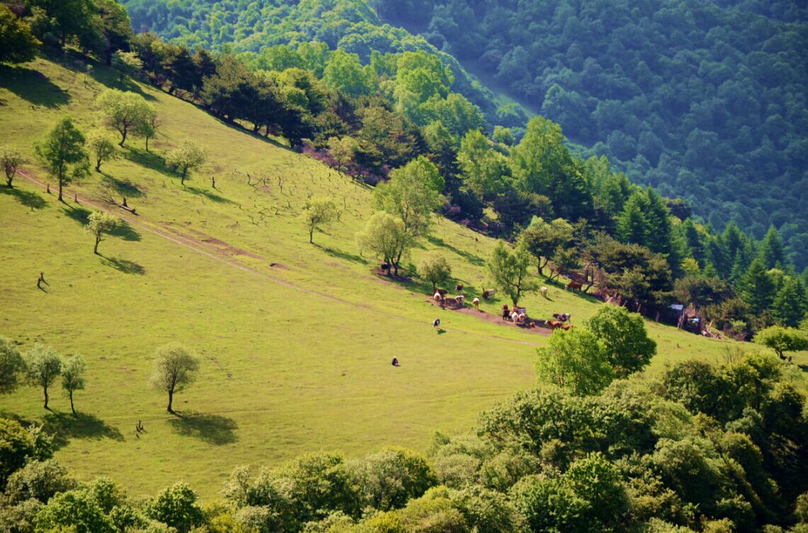 亿万先生mr·(中国区)官方网站