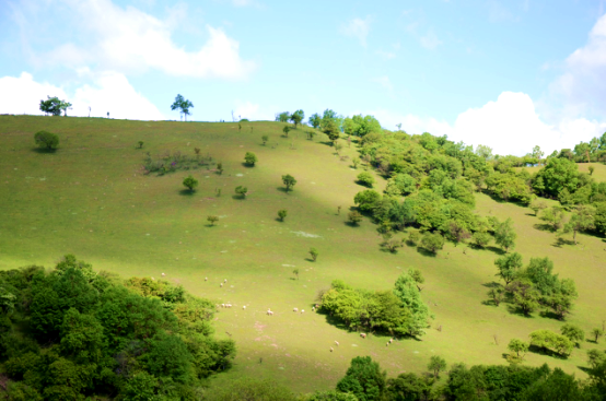 亿万先生mr·(中国区)官方网站