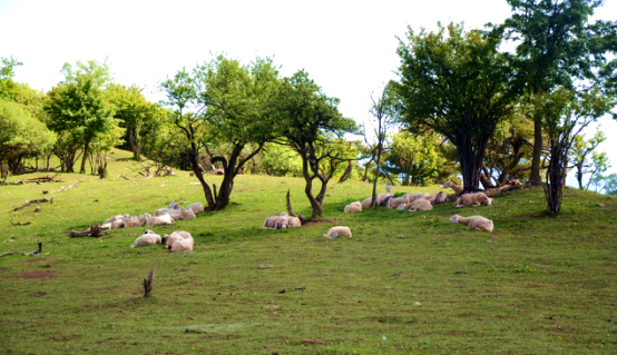 亿万先生mr·(中国区)官方网站