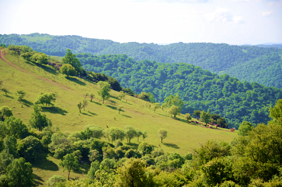 亿万先生mr·(中国区)官方网站